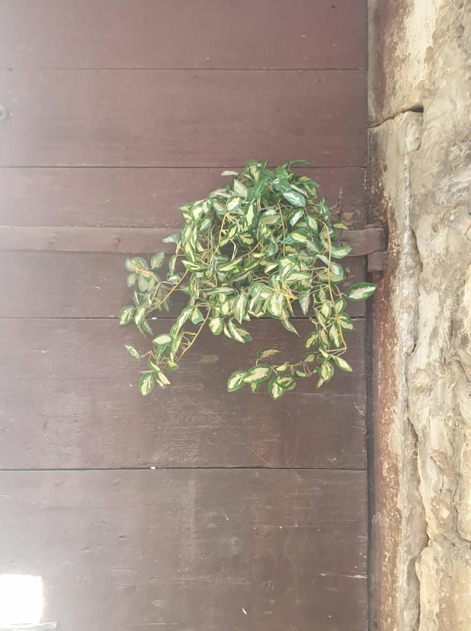 Apartmani Nedo Split Exterior foto